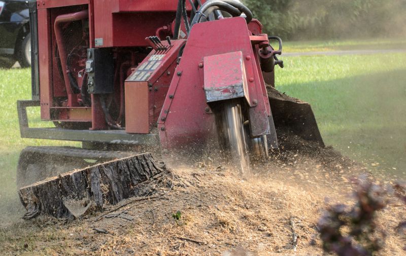 Commercial Stump Grinding in Waldorf, MD