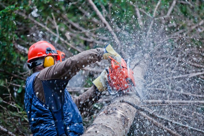 Commercial Tree Trimming in Littleton, CO
