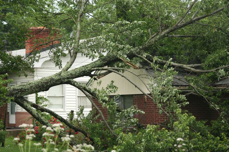 Emergency Tree Removal in Aiken, SC