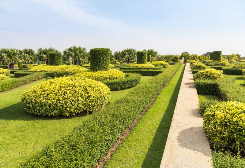 Shrub Trimming in Aiken, SC