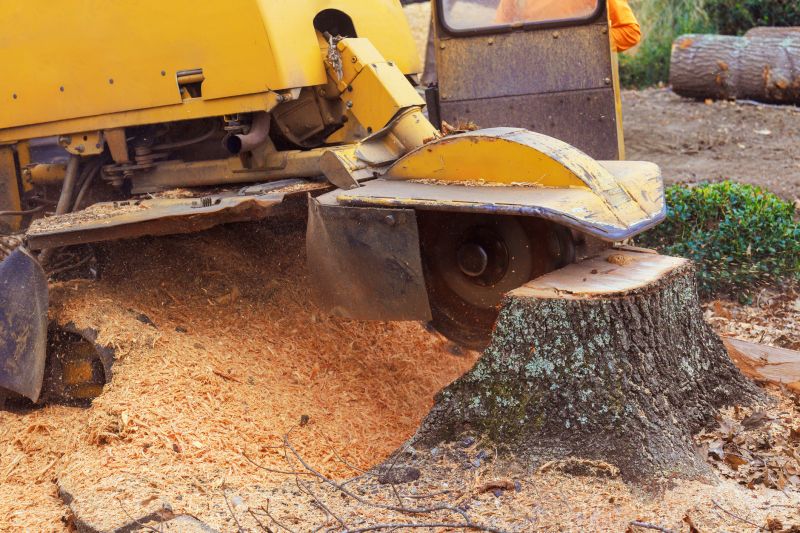 Stump Cutting in Calvert County, MD