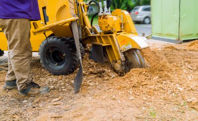 Stump Grinding Service in Aiken, SC